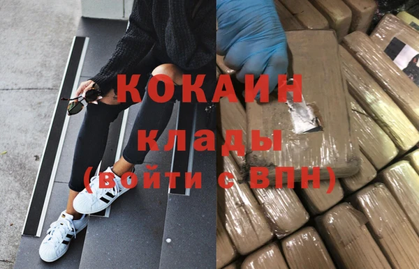 стаф Алексин