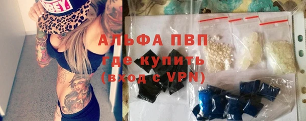 стаф Алексин