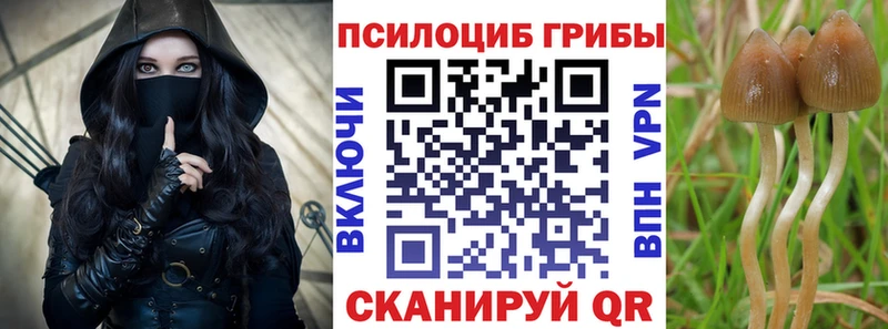 Псилоцибиновые грибы ЛСД  купить   Сатка 